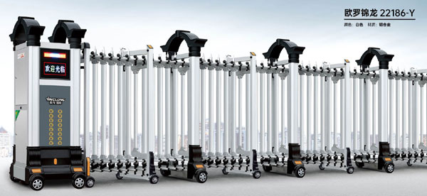 歐羅錦龍-22186-Y